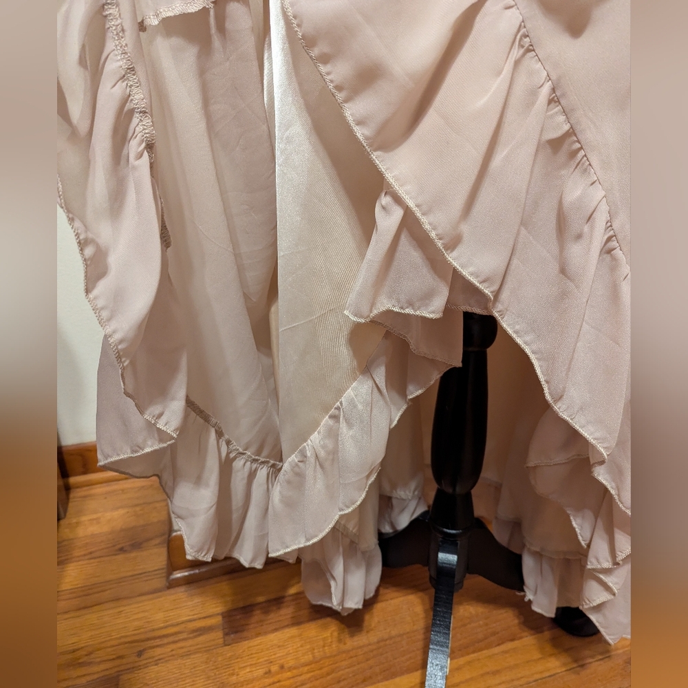 Voodoo Vixen Antique Pink Cream Victorian Goth High Low Vintage Unique Gown - Picture 6 of 10
